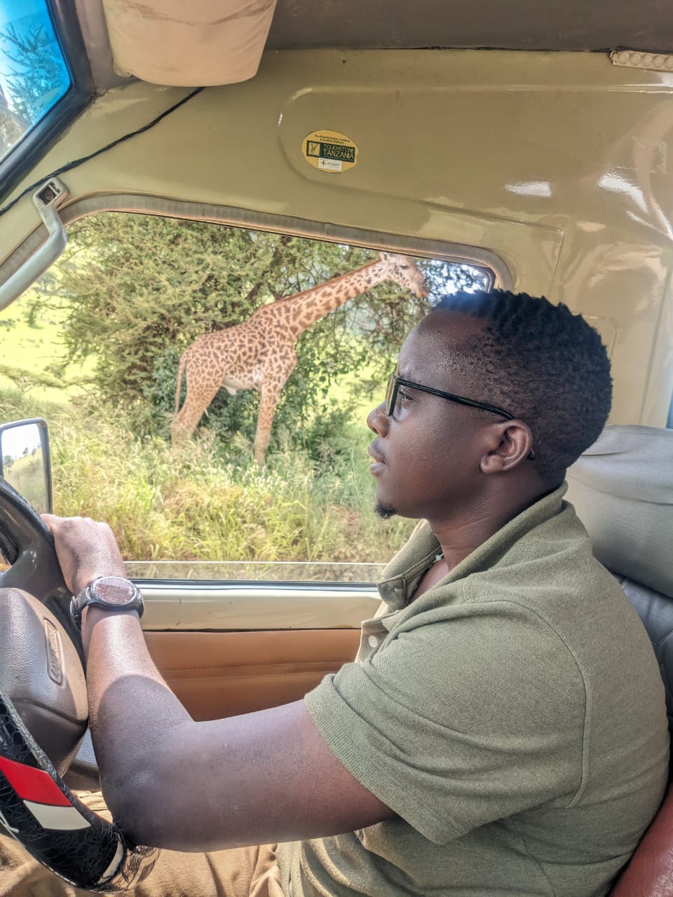 Olympus Adventure driver-guide watching a Maasai giraffe in Tarangire National Park