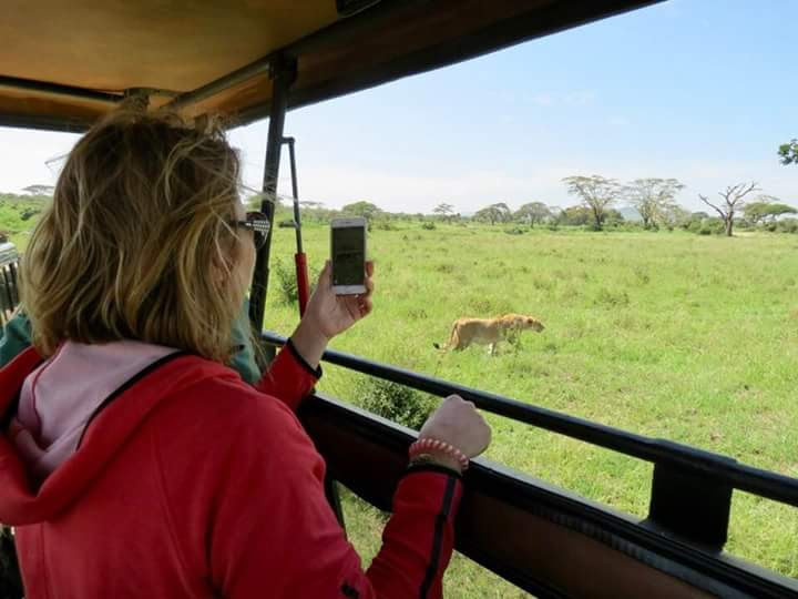 Olympus Adventure guest photographing a lioness from a pop-up roof safari vehicle in the Serengeti